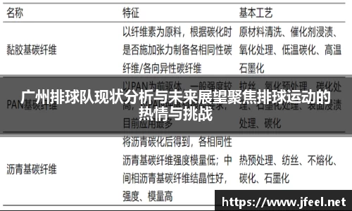 广州排球队现状分析与未来展望聚焦排球运动的热情与挑战